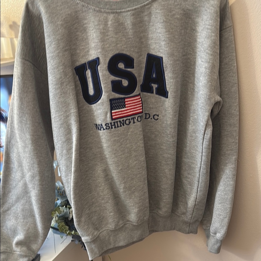 Gray USA Washington D.C. Sweatshirt